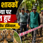 श्यामपुर रेंज में टाइगर शावकों की हत्या मामले का निरीक्षण करते वन मंत्री सुबोध उनियाल।
